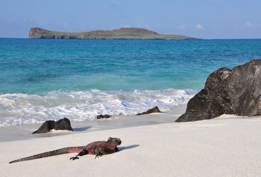 Pinzón Island, Ecuador, Ecuador